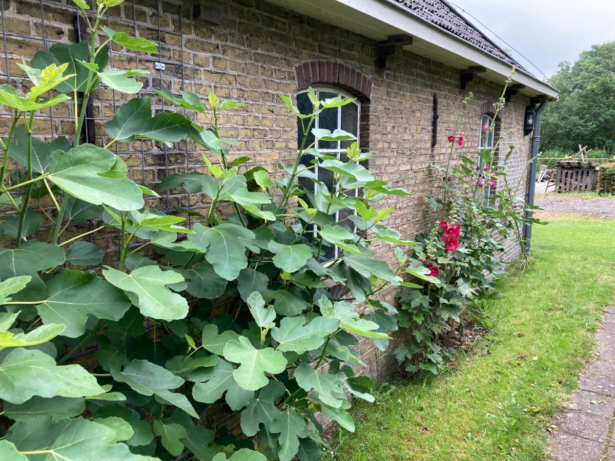 Apartmán Duerswald Wijnjewoude Exteriér fotografie