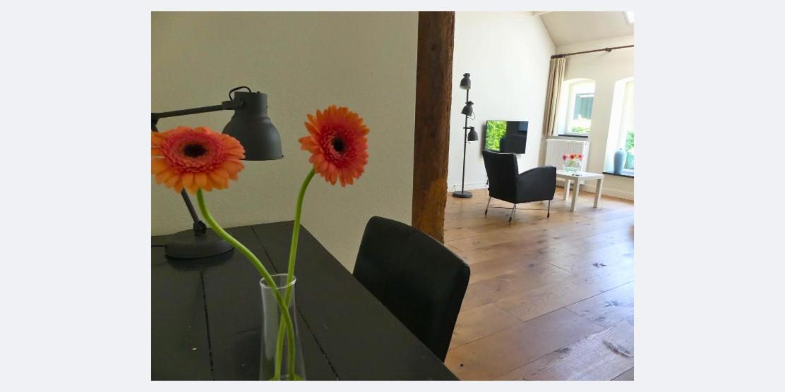 Apartmán Duerswald Wijnjewoude Exteriér fotografie